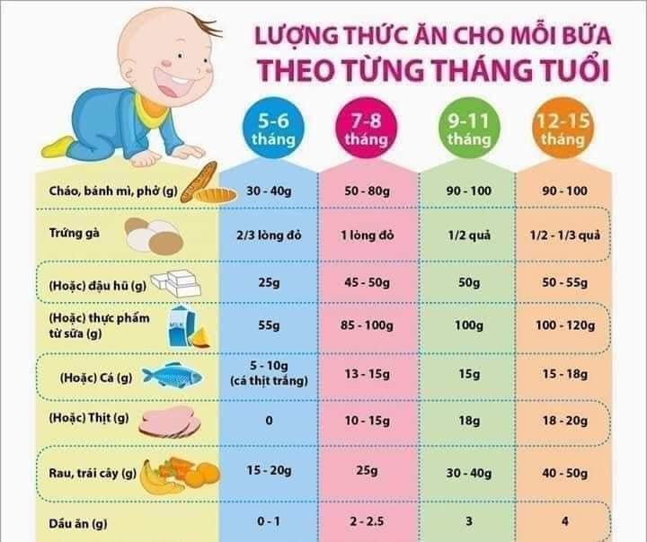 Bảng định lượng thức ăn cho mỗi bữa theo từng tháng tuổi