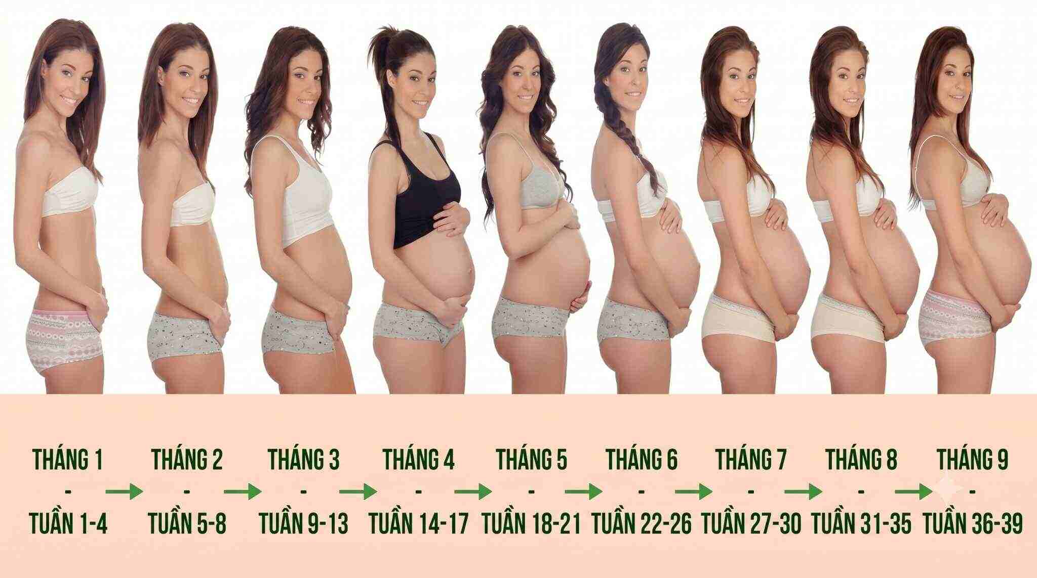 Hình dạng và kích thước bụng bầu qua các tháng