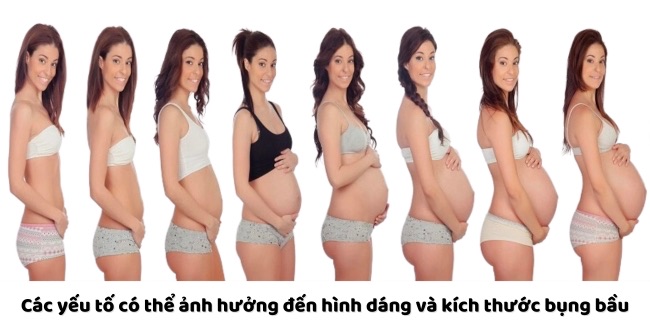 yếu tố ảnh hưởng đến hình dáng và kích thước bụng bầu