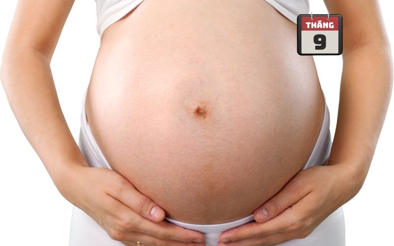 Hình ảnh bụng bầu 9 tháng