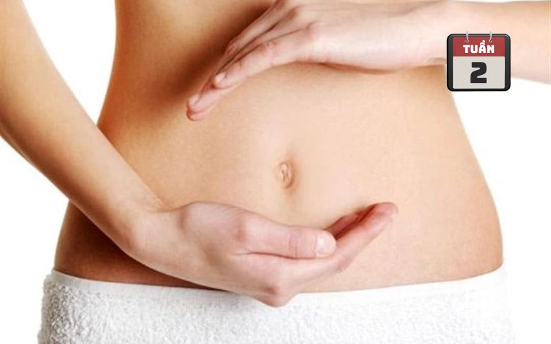 Hình ảnh bụng bầu ở tuần 2