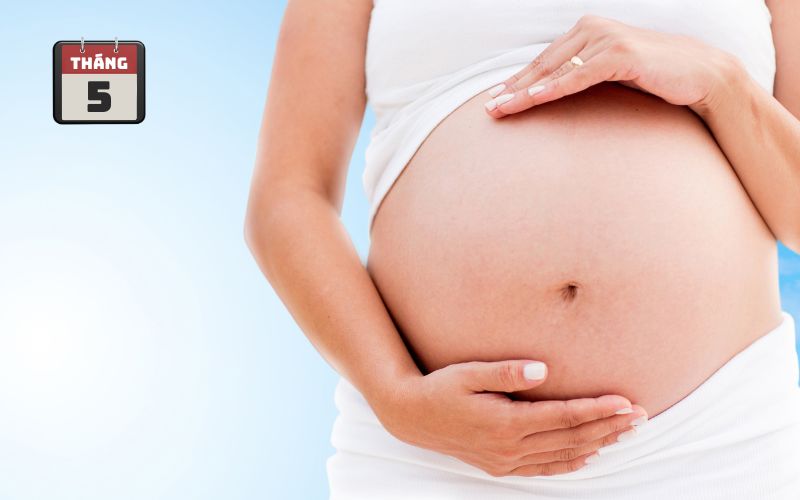 Hình ảnh bụng bầu 5 tháng