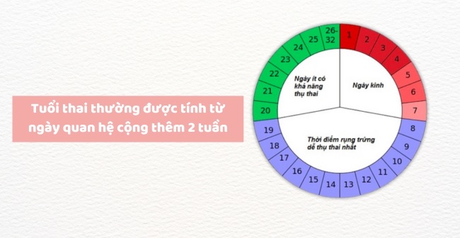 Cách tính tuổi thai theo ngày quan hệ