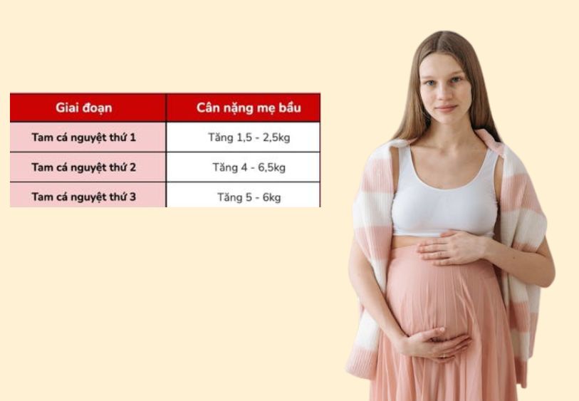 Bảng tăng cân cho mẹ bầu theo từng tam cá nguyệt