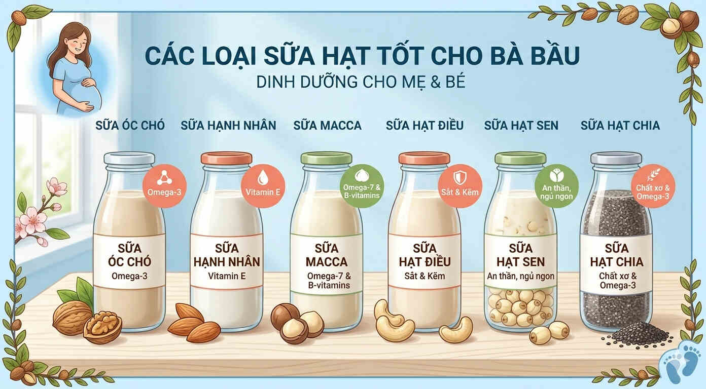 sữa hạt tốt cho mẹ bầu