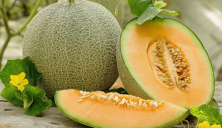 loại trái cây tốt cho mẹ sau sinh mổ - dưa lưới bổ sung nước và khoáng chất