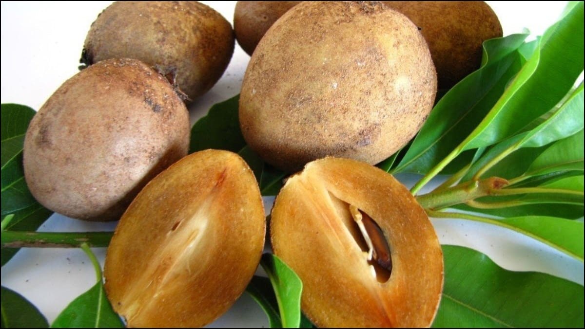 hồng xiêm là trái cây tốt cho mẹ sau sinh mổ
