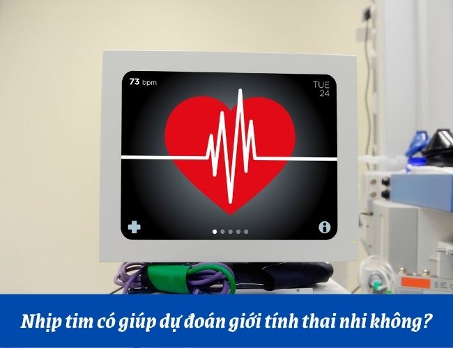dự đoán trai hay gái bằng nhịp tim