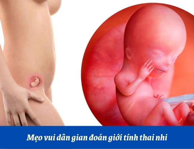 mẹo xác định giới tính thai nhi