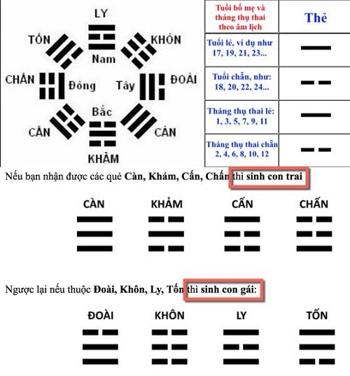 Bảng tính trai gái theo tháng thụ thai