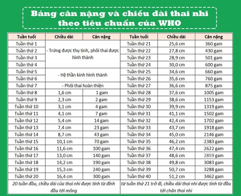 bảng cân nặng thai nhi theo tuần chuẩn WHO