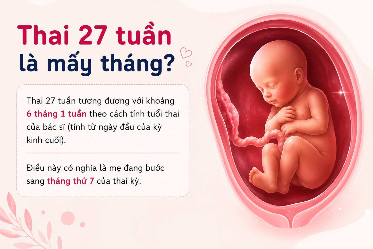 Thai 27 tuần là khoảng 6 tháng 1 tuần