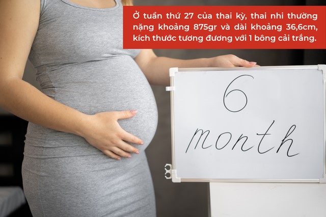 Thai nhi 27 tuần nặng khoảng 875gr và dài khoảng 36,6cm