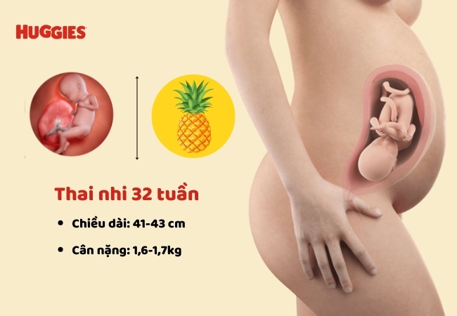 cân nặng thai nhi 32 tuần