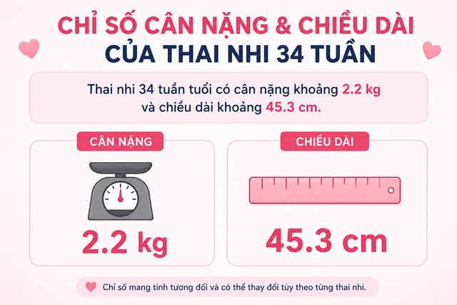 Cân nặng và chiều dài của thai nhi 34 tuần tuổi
