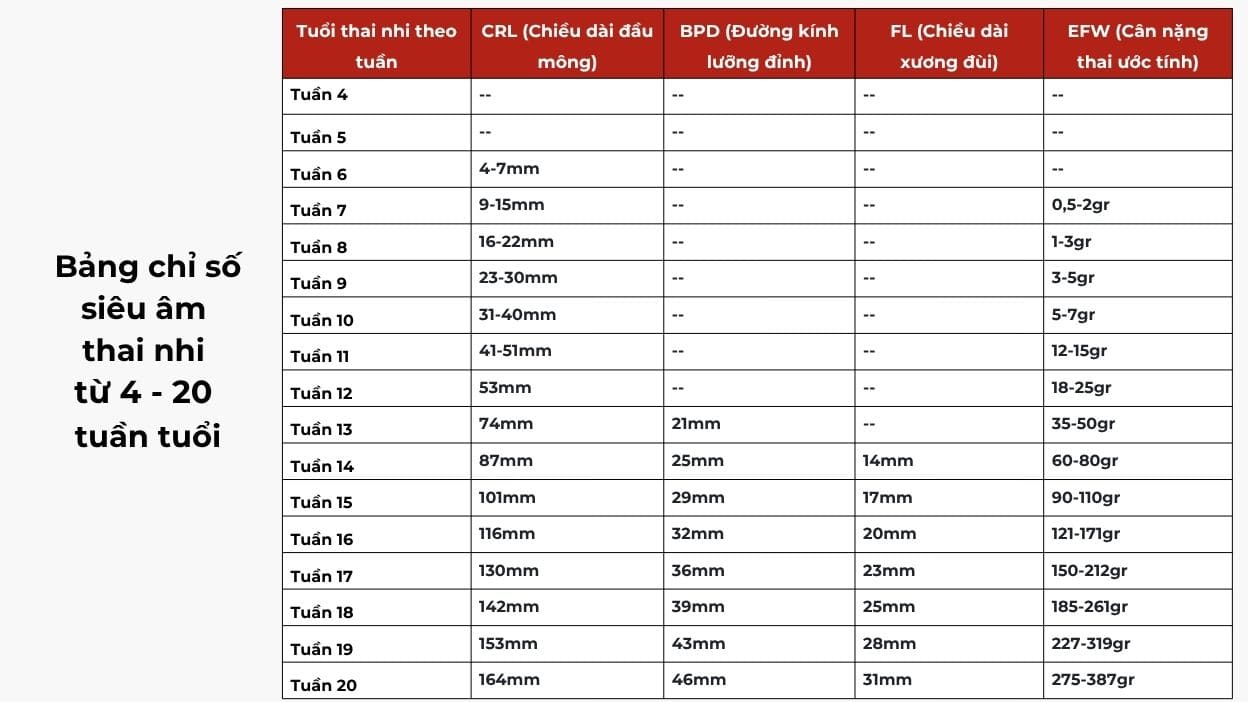 Chỉ số siêu âm thai nhi từ 4 - 20 tuần tuổi