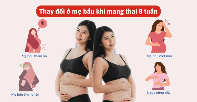 Những thay đổi thường gặp ở mẹ bầu mang thai tuần thứ 8