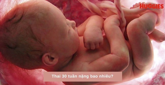 Thai 30 tuần nặng bao nhiêu