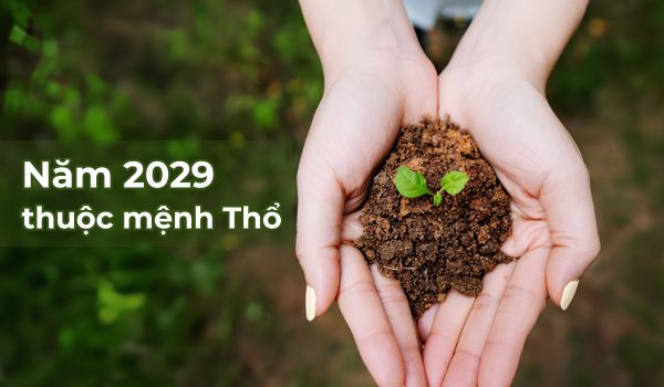 Năm 2029 là mệnh Thổ