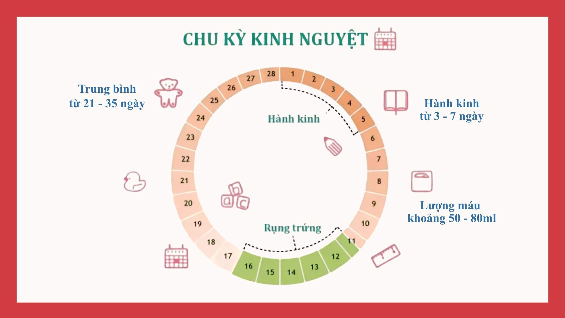 chu kỳ kinh nguyệt bình thường