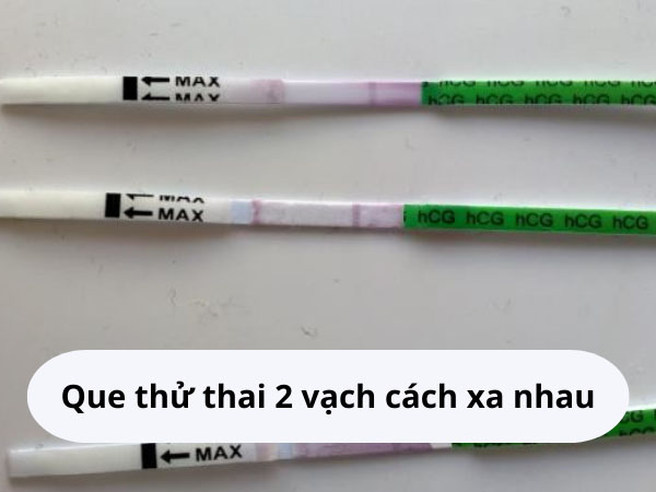 que thử thai 2 vạch cách xa nhau