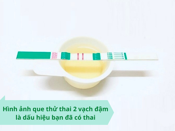 hình que thử thai 2 vạch đậm