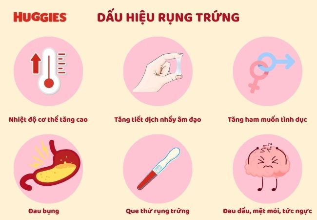 Dấu hiệu rụng trứng