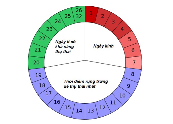 Xác định chu kỳ kinh nguyệt chuẩn xác giúp bạn nhận biết thời điểm lý tưởng để thử que rụng trứng